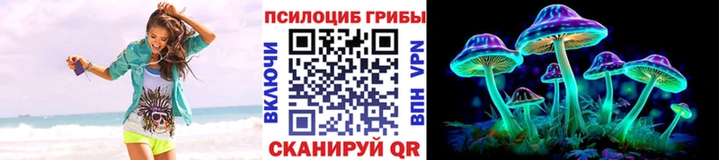 где продают наркотики  Вилючинск  Галлюциногенные грибы Psilocybe 